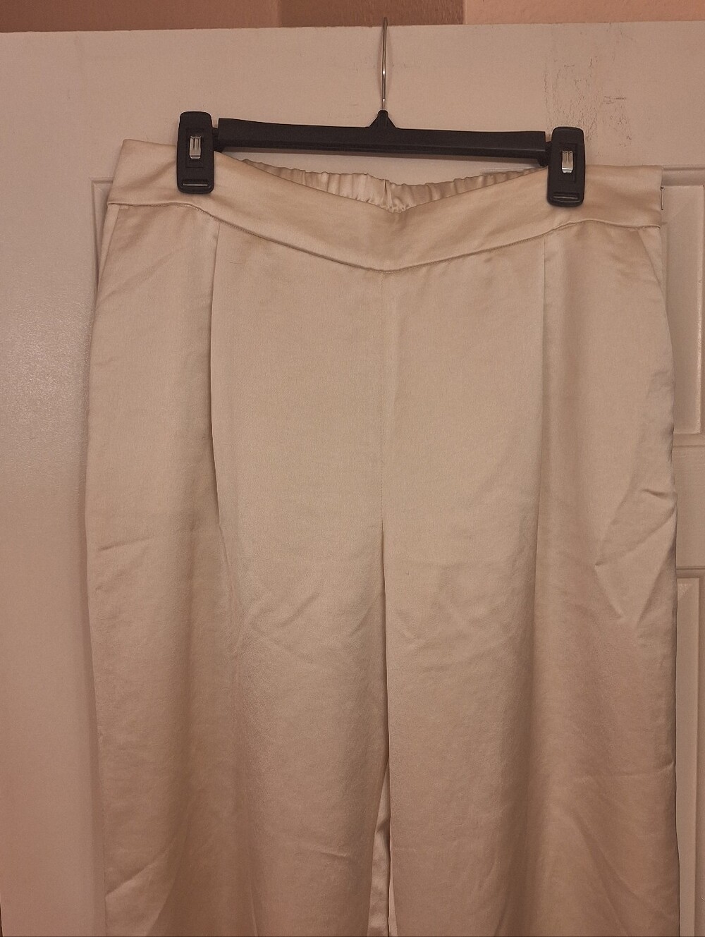 Express Satin Pants - Picture 7 of 14